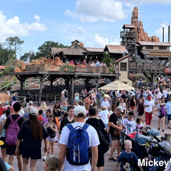 Disney Guests Are Paying a Third Party to Avoid Being on Their Phone For Lightning Lane