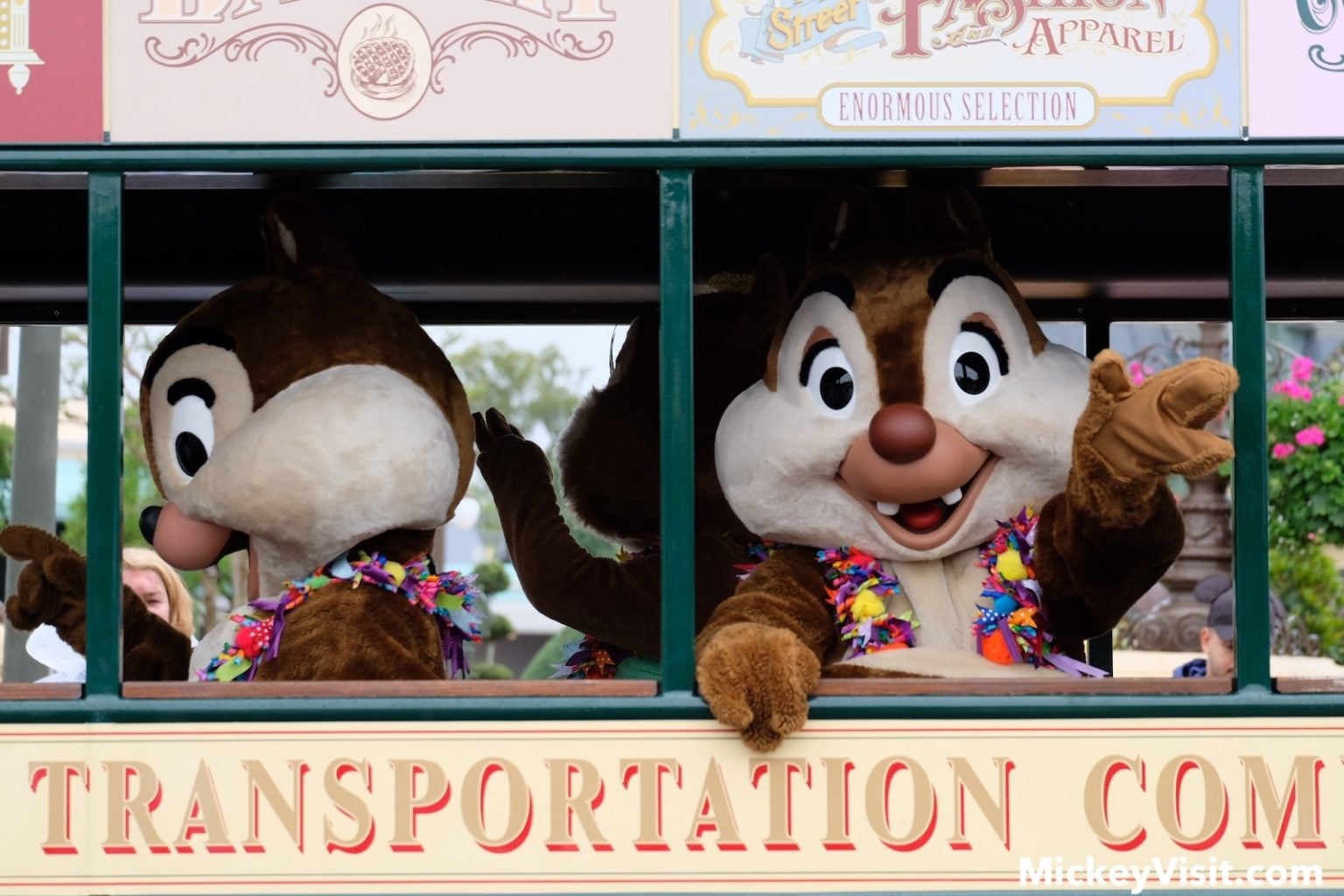 Disney College Program Sets Cast Member Auditions for 5 Cities
