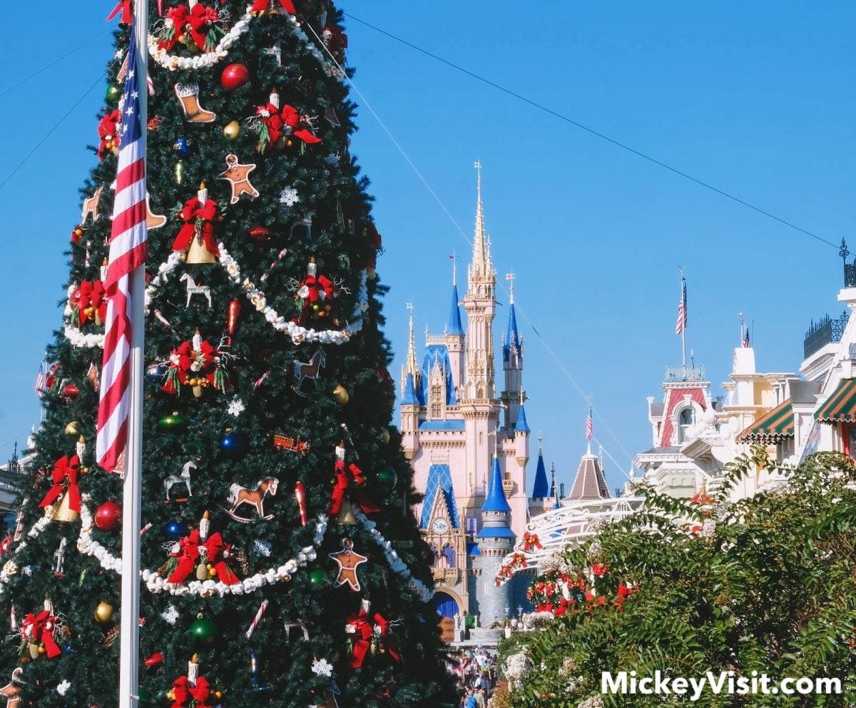 Cinderella Castle and Christmas tree