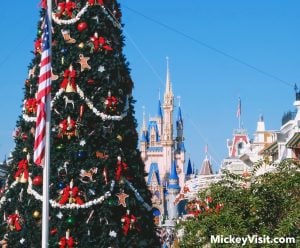 Cinderella Castle and Christmas tree