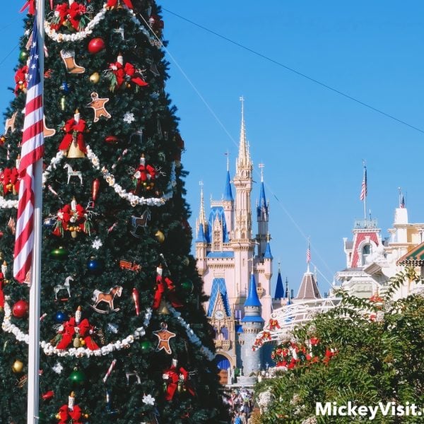 Cinderella Castle and Christmas tree