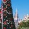 Cinderella Castle and Christmas tree