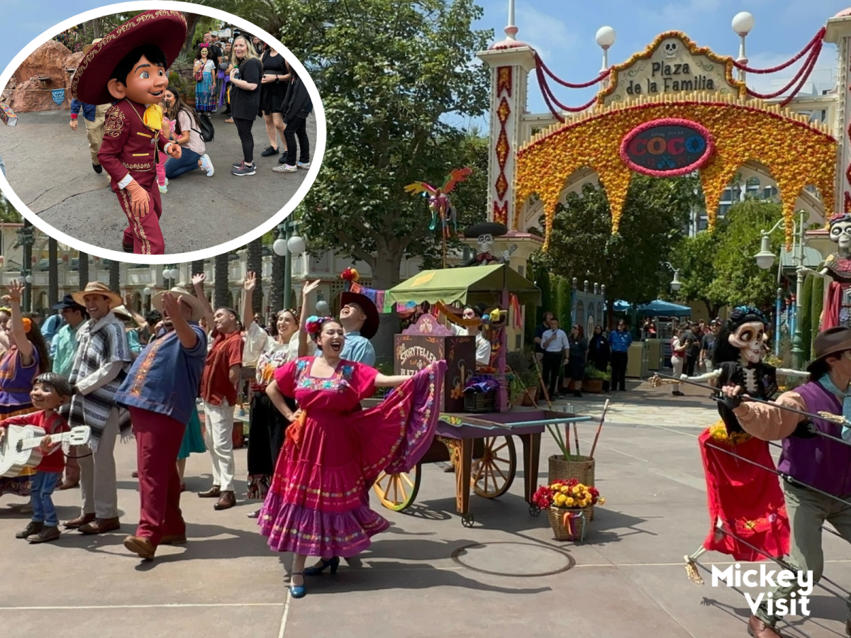 Disneyland celebrations