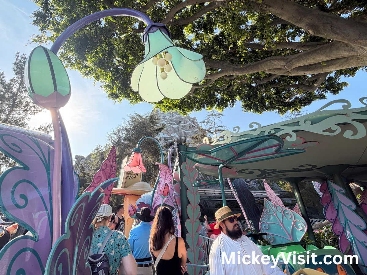 Disneyland Alice in Wonderland