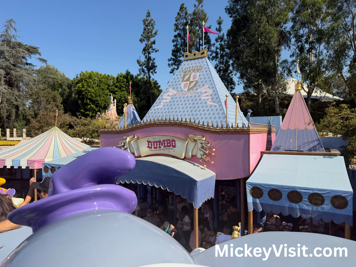 Dumbo Disneyland