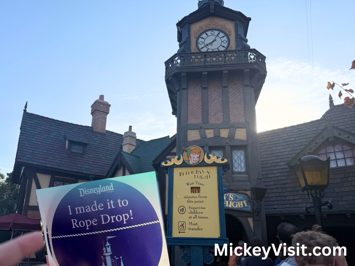 Peter Pan's Flight Rope DRop