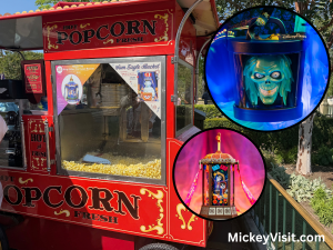 Disneyland popcorn buckets