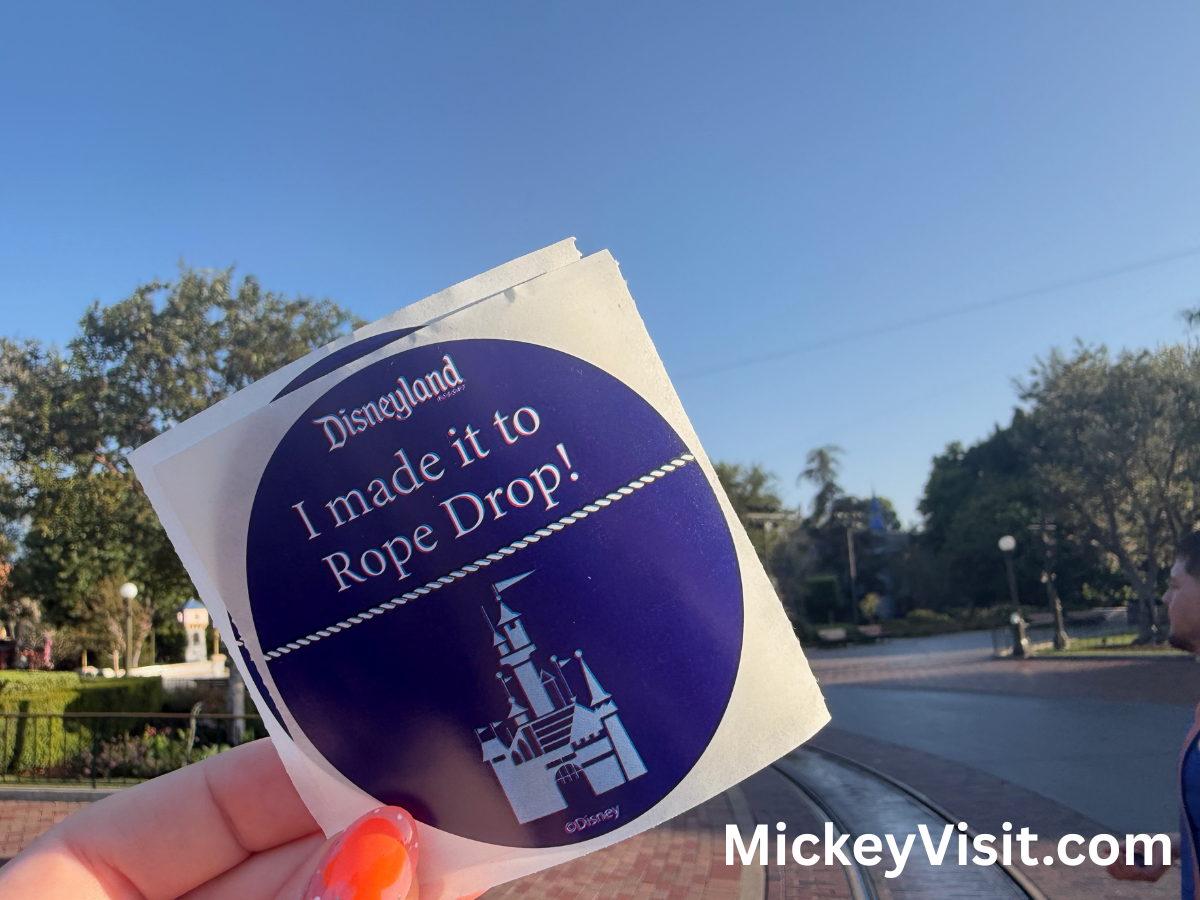 Disneyland Rope Drop