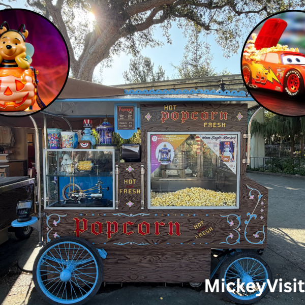 Disneyland popcorn bucket