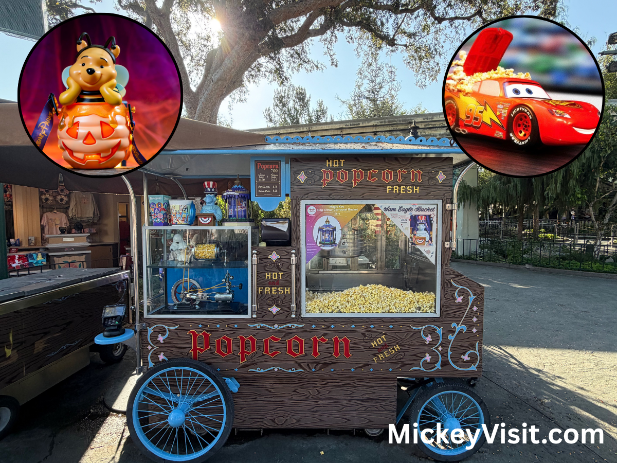 Disneyland popcorn bucket