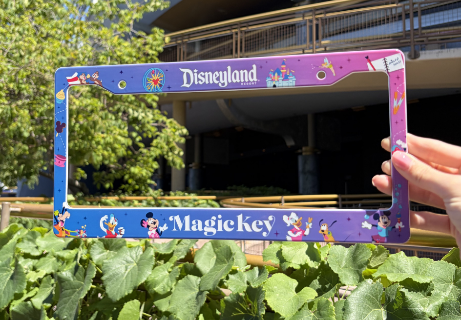 Purple and blue license plate frame with Disney character illustrations