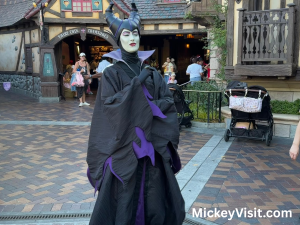 Maleficient