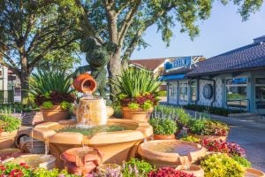 Mickey Mouse topiary and fountain
