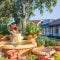 Mickey Mouse topiary and fountain