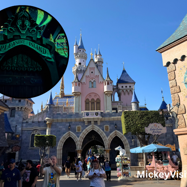 Disneyland castle