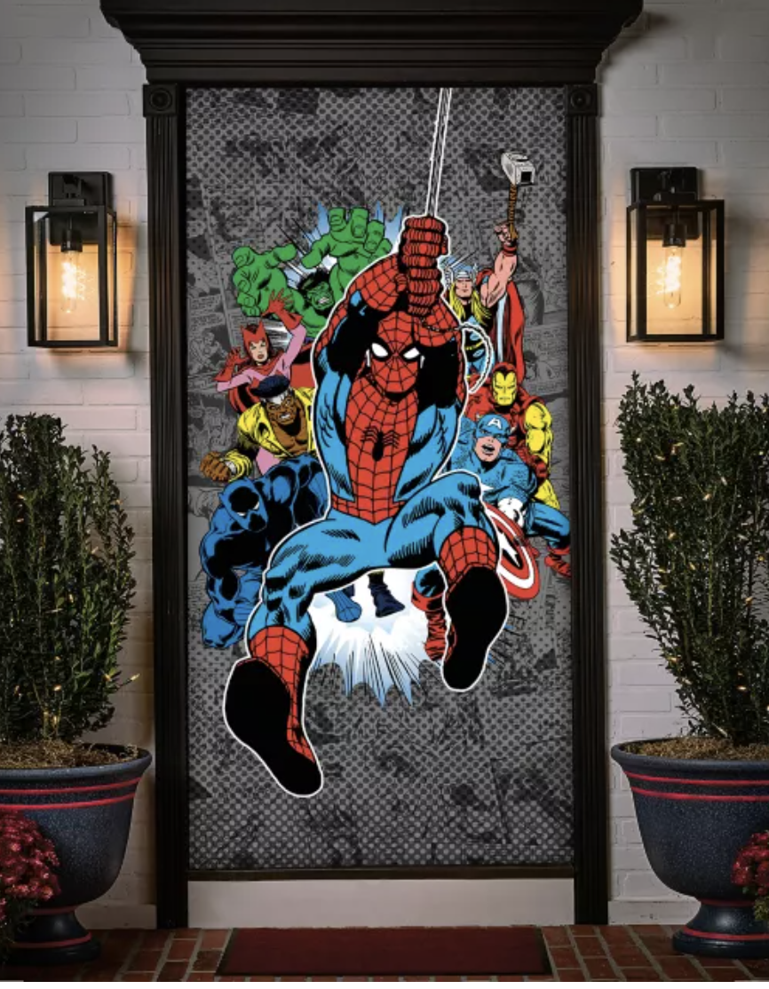 Spider-man door cover