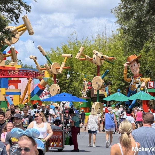 Top Disney World Roller Coaster Closure For Multiple Days Without Notice
