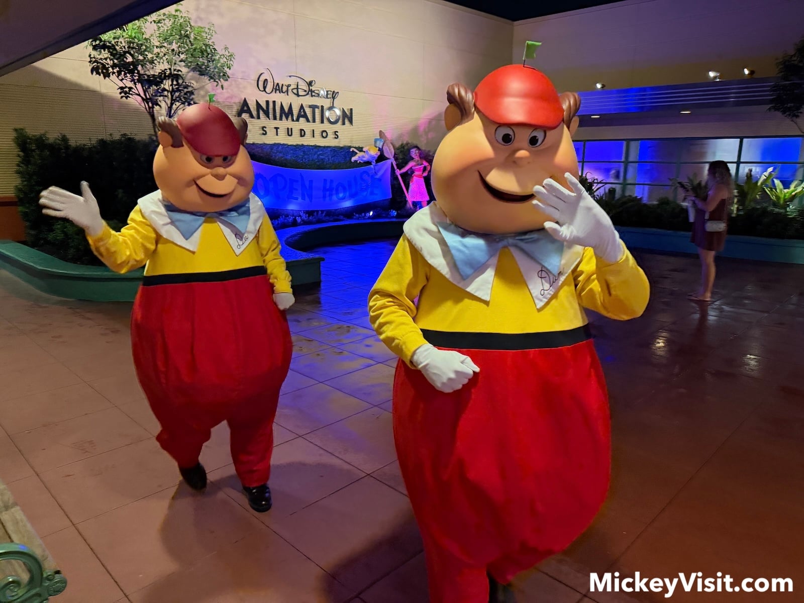 Tweedledee and Tweedledum characters