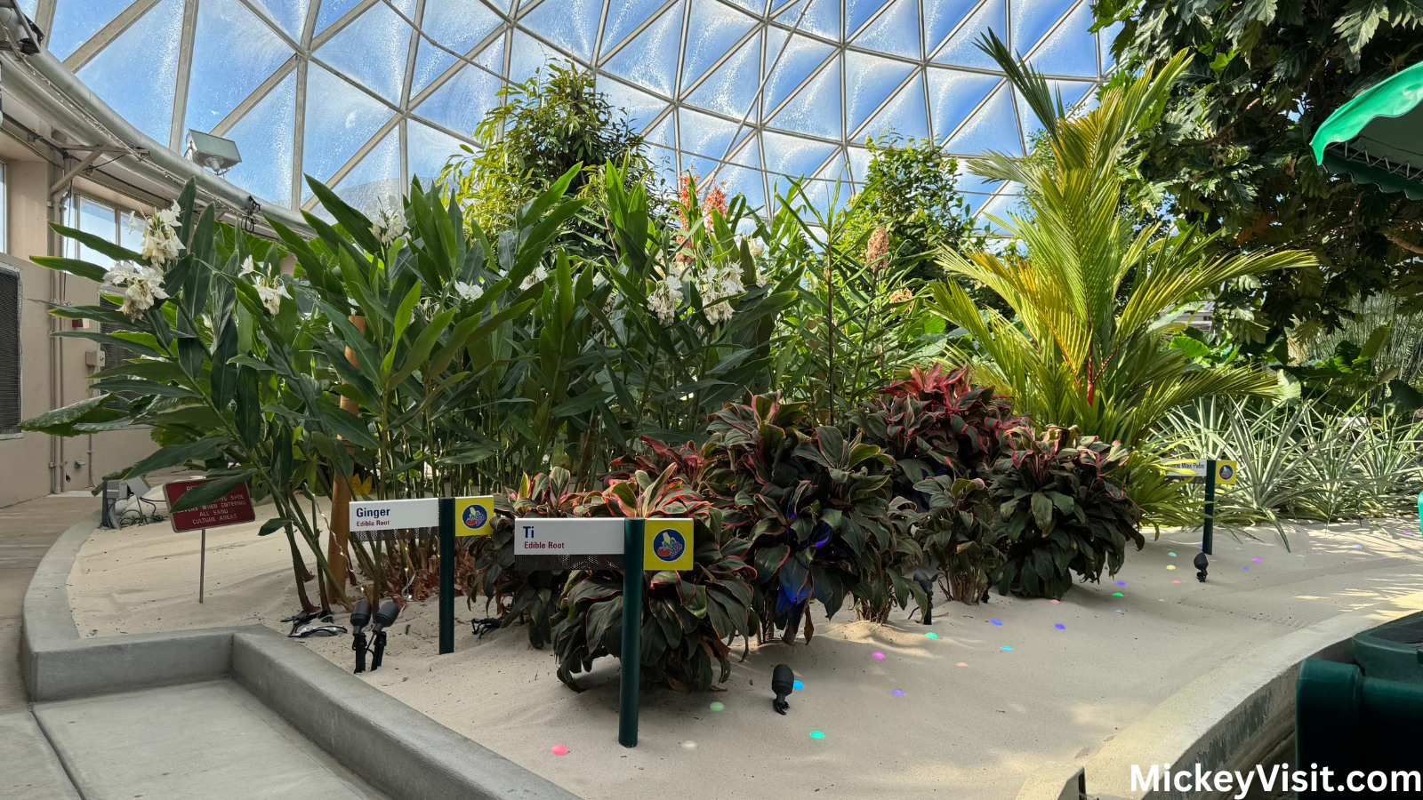 Living with the Land at EPCOT roots