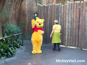 Winnie the Pooh