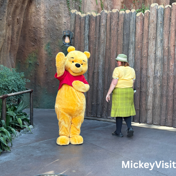 Winnie the Pooh