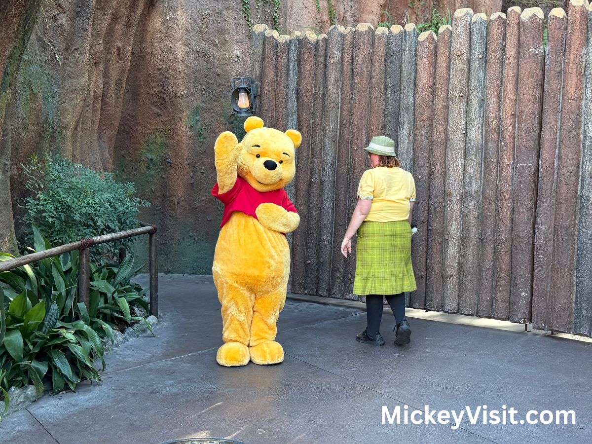 Winnie the Pooh