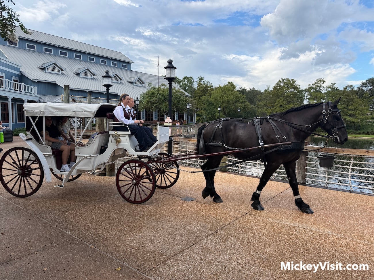 horse carriage ride port orleans