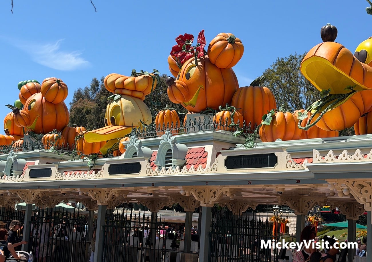 Leave Disneyland For This Affordable Restaurant With Great Options For the Whole Family