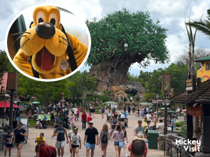 Former Disney Cast Member Shares What They Wish Every Disney World Parent Knew