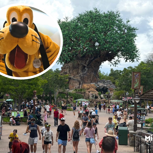 Former Disney Cast Member Shares What They Wish Every Disney World Parent Knew