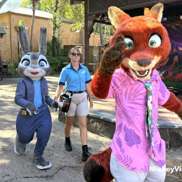 zootopia characters at animal kingdom