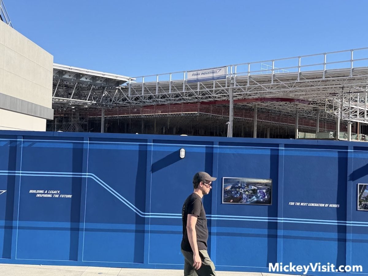 Disneyland Makes Progress on Resort Expansion With 5 New Rides and ...