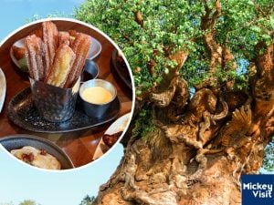 Churros and tree of life