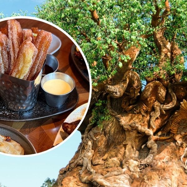 Churros and tree of life