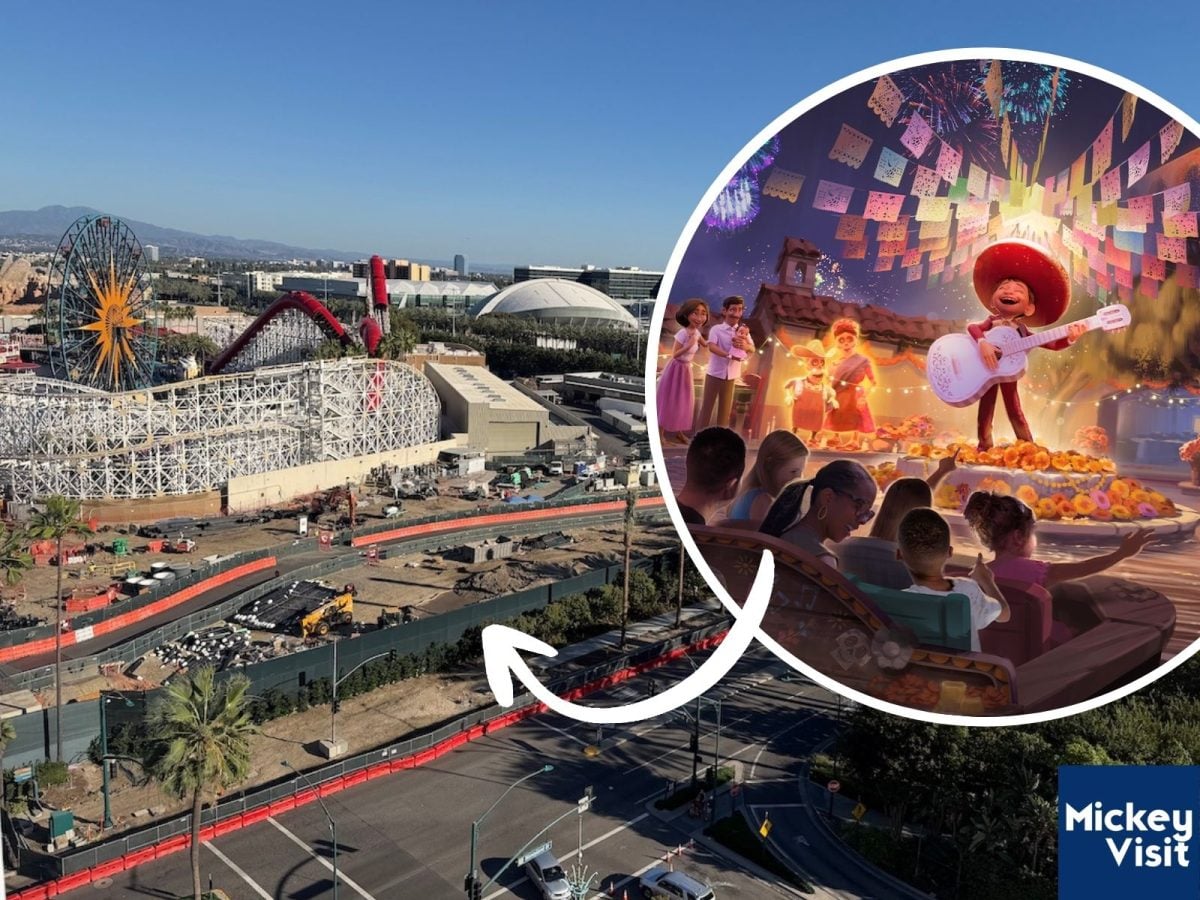 Disneyland Makes Progress on Resort Expansion With 5 New Rides and ...