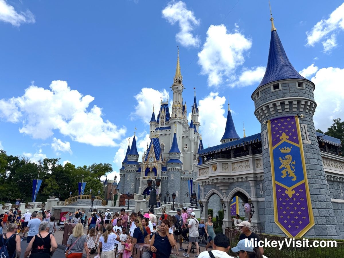 Disney World Cinderella Castle crowds