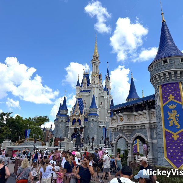 Disney World Reveals Closure End Date for Popular Magic Kingdom Ride Refurbishment