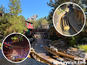 Disney’s Growing Bad Guest Behavior Problem on Rides is Becoming Real Issue