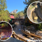 Disney’s Growing Bad Guest Behavior Problem on Rides is Becoming Real Issue