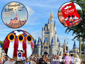 Disney castle