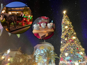 Disney World Christmas