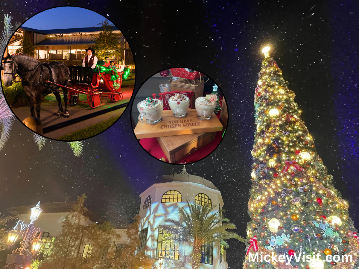 Disney World Christmas