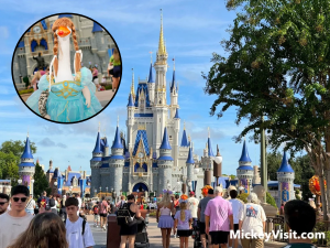 Disney World porch goose