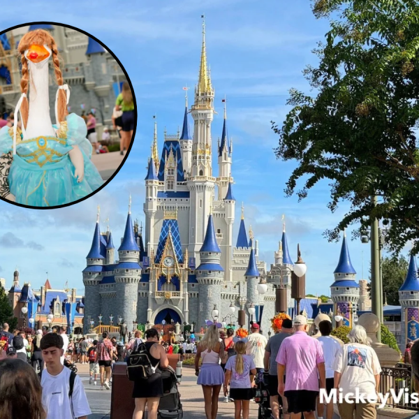 Disney World porch goose