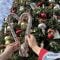Disneyland Changes to 2026 Handmade Candy Cane Distribution Dates Released