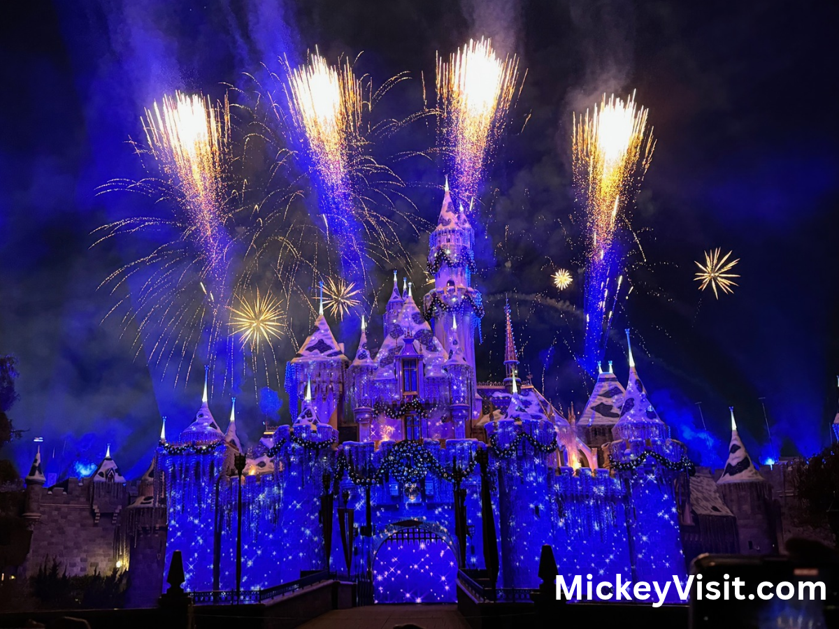 Disneyland Fireworks