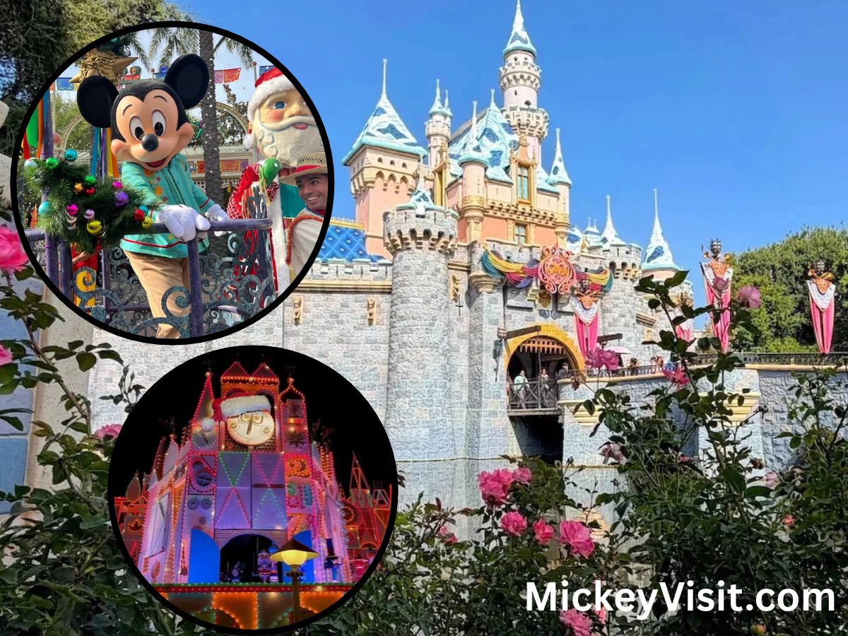 DisneylandNovemberDecemberChanges