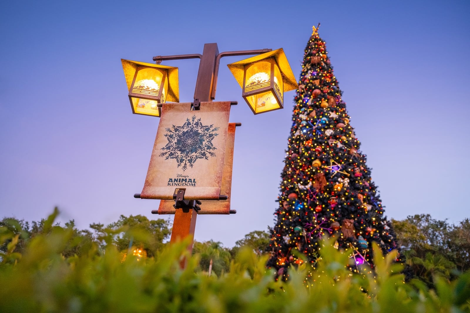 Huge Christmas tree