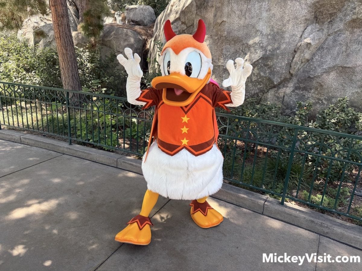 Donald Duck halloween
