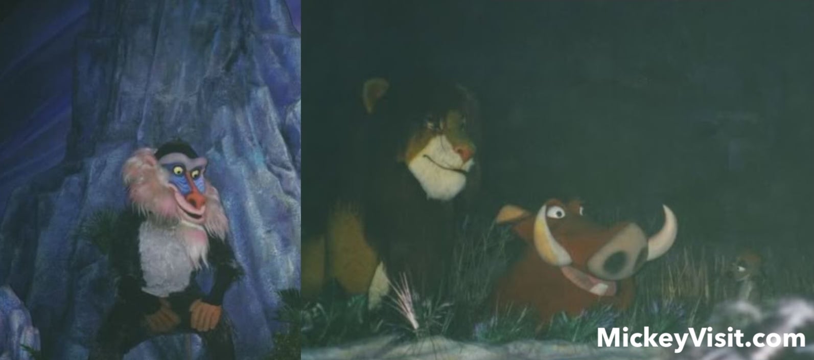 Rafiki, Simba, Pumbaa, and Timon from Lion King as puppets